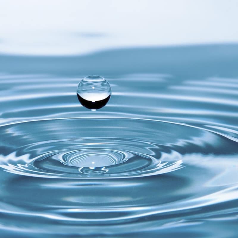 L'eau dans tous ses états – Atelier en lien avec «L'Eau douce»