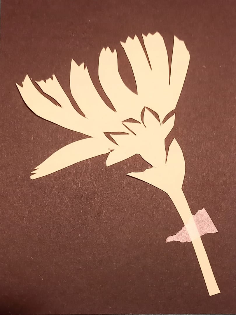 Herbier au pochoir – Atelier parents-enfants avec Délia Meyer