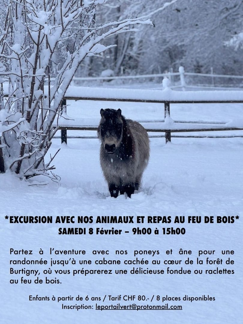 Petits pieds & sabots – Excursion avec nos animaux et repas au feu de bois