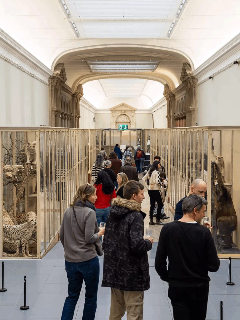 Le Musée des Gloutons – À la découverte des animaux!