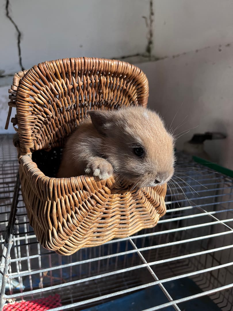 Quinta em FamĂlia – Dia do Pai