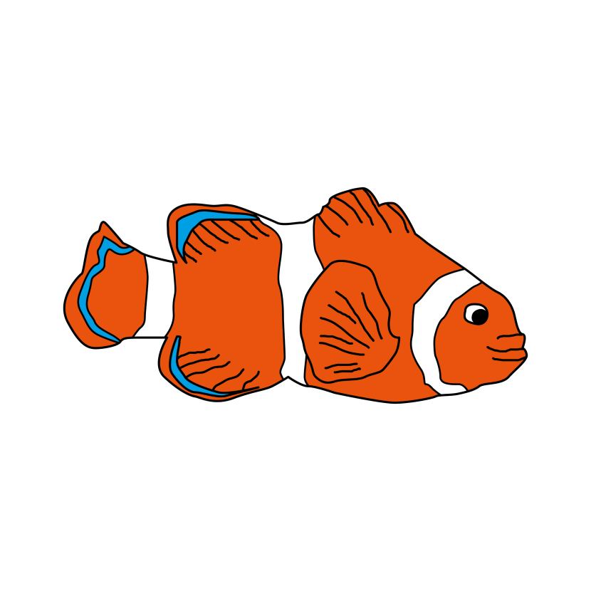 Bright Spots & Eye-Catchers