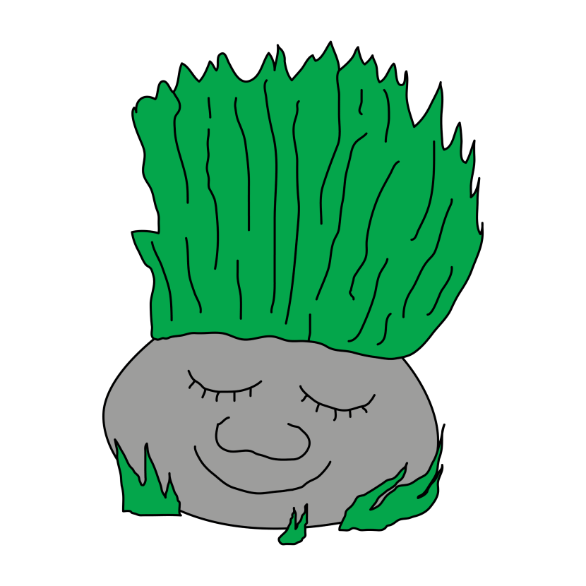 Les Aventures de Peer