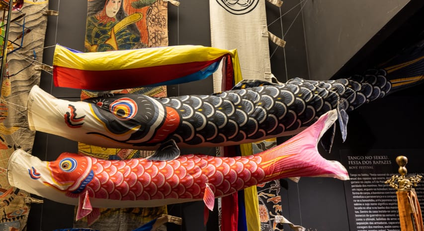 Primeiros passos: Carpas de todas as cores – Oficina para bebés