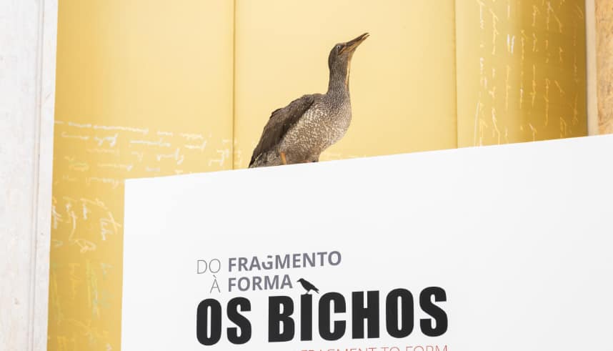 Os Bichos no Carnaval!