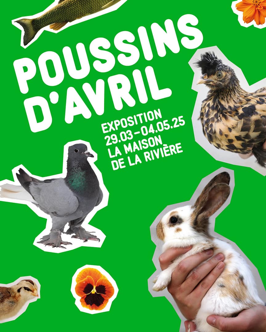 7e édition de Poussins d'avril