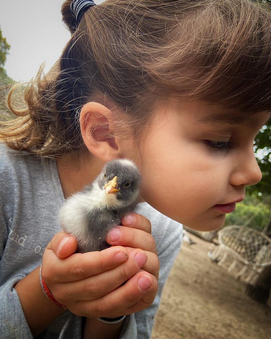 Nature Play Collective – Wild Hearts