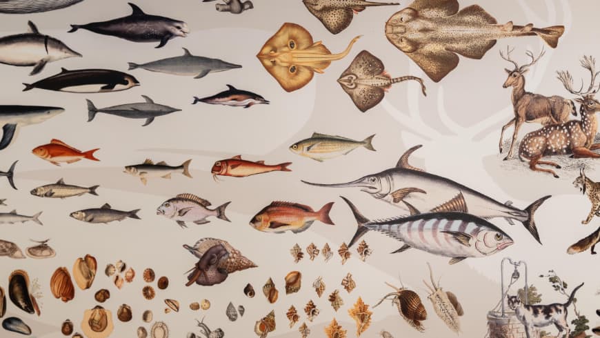 Bichos fantásticos (e estrambólicos)!