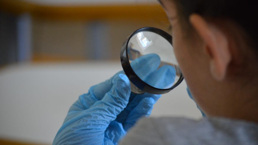 As moedas também vão ao médico?