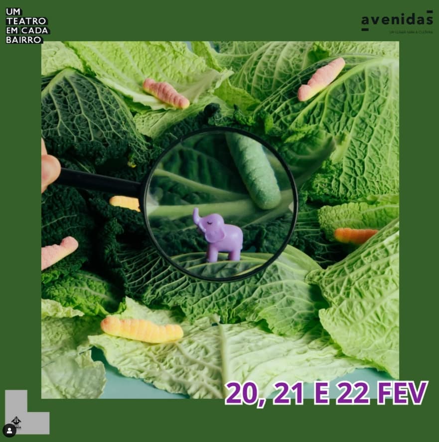 Micro, micro coisas – Por Plataforma 285