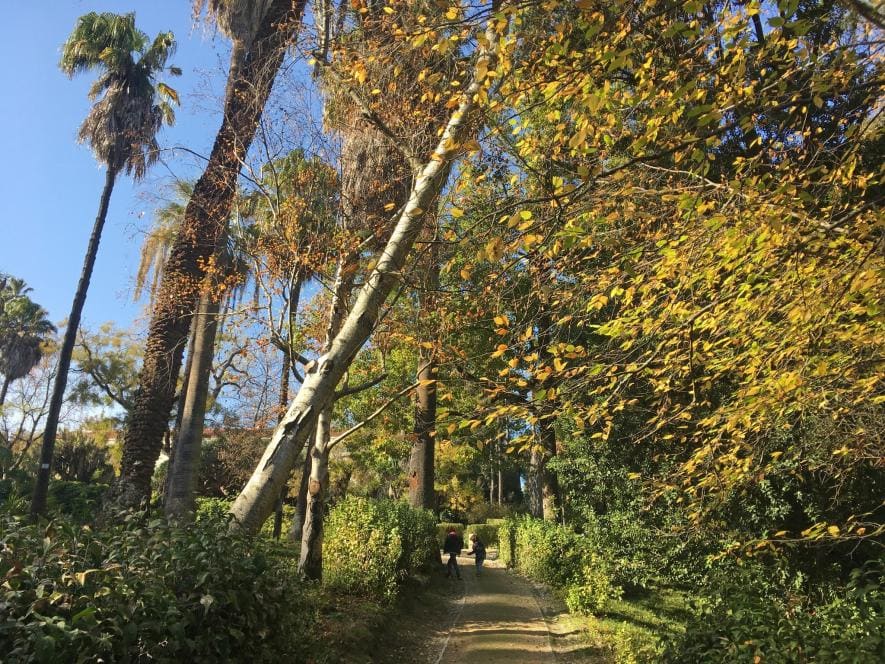 Visita noturna ao Jardim Botânico de Lisboa
