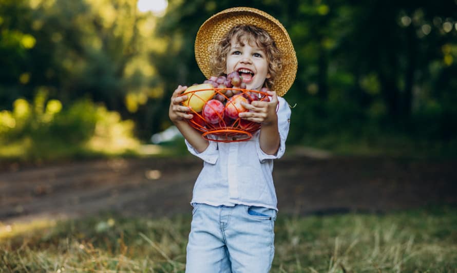 Aventuras com Fruta!