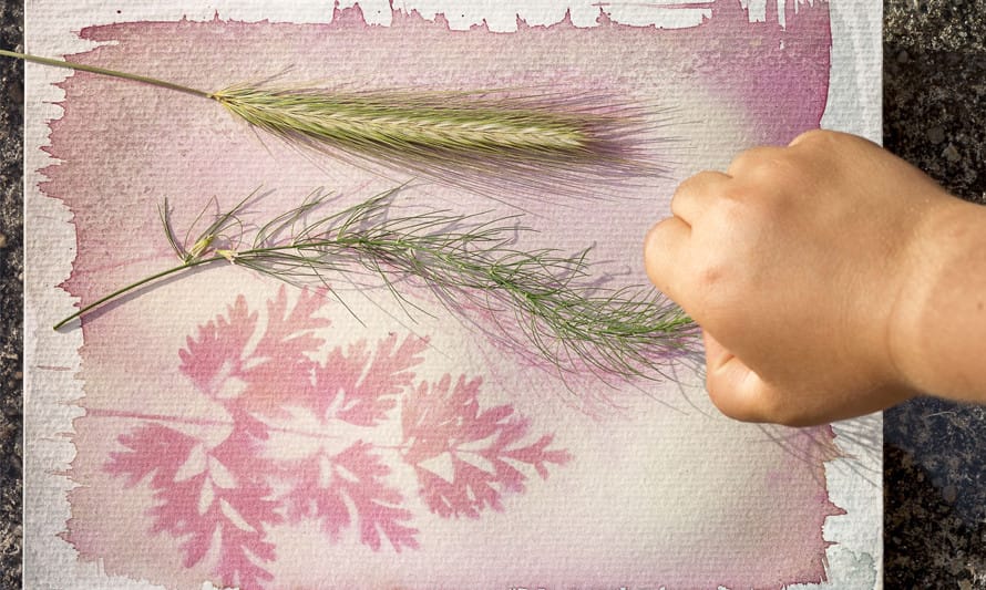 Desenhos fotogĂ©nicos – Oficina para famĂlias