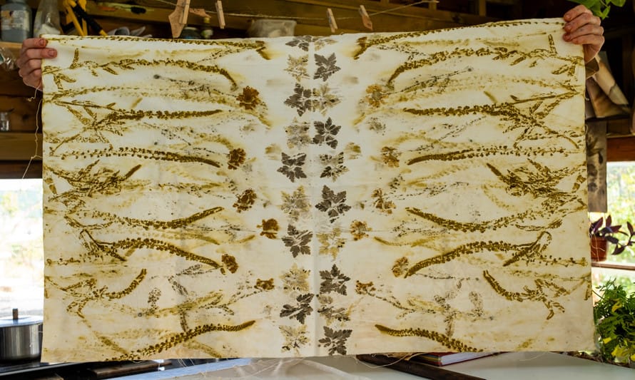 ImpressĂŁo botânica com as plantas d'O ChĂŁo das Artes – Oficina para famĂlias