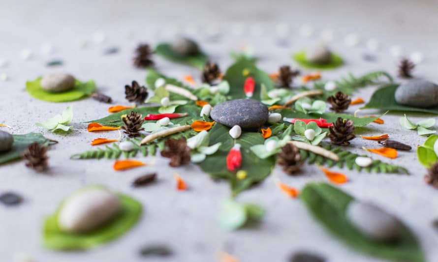 Mandalas da Natureza