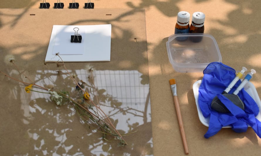 O Meu Pequeno Herbário Azul