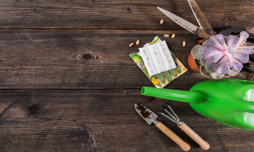 Oficina de plantação e jardinagem