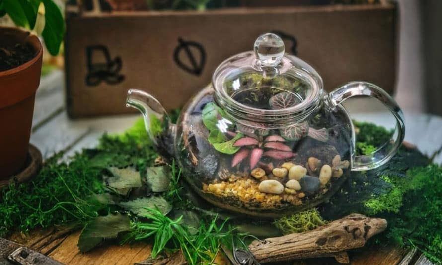 Terrário – Faça o seu próprio mundo!