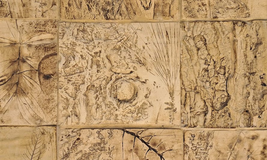 Trilho do nome da árvore – Oficina para famĂlias