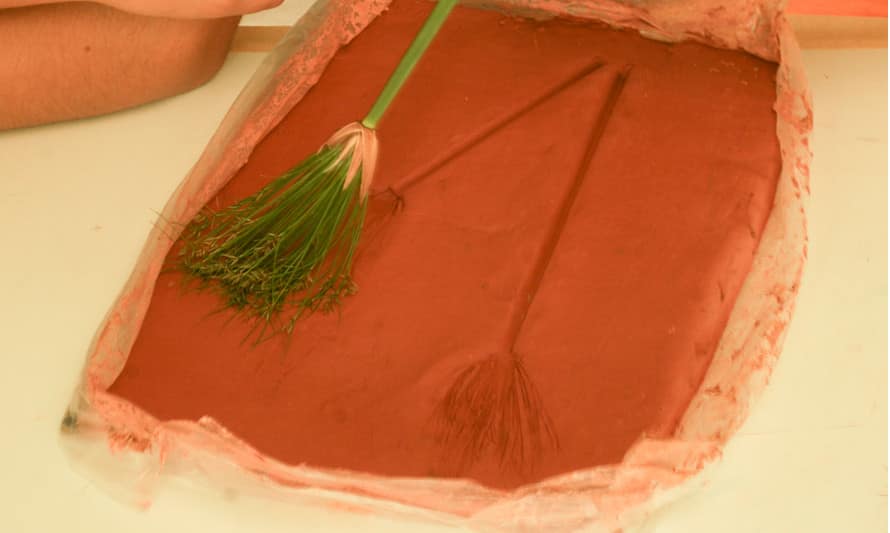 Ver com olhos de paleontĂłlogo – Oficina para famĂlias