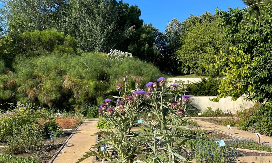 Visita a O Chão das Artes – Jardim Botânico
