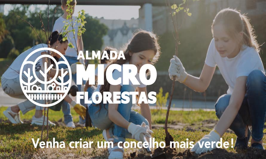 Plantação Microfloresta