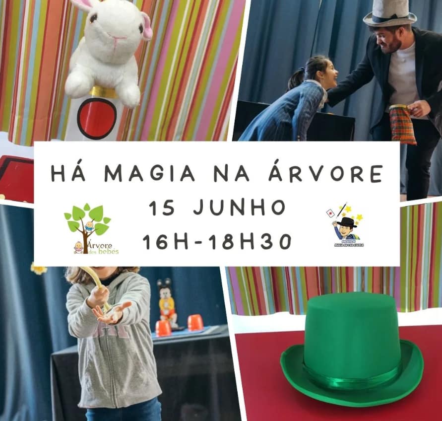 Há magia na Árvore