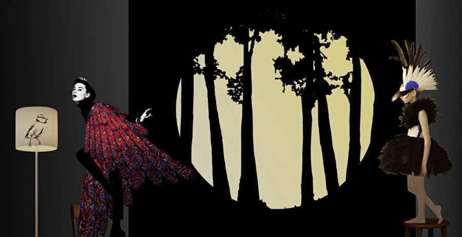 Conte musical pour enfants «Plume»