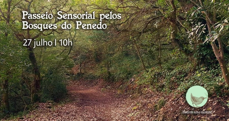 Passeio Sensorial pelos Bosques do Penedo