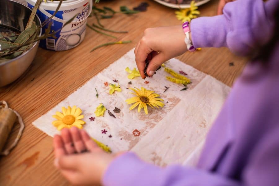 Atelier de ImpressĂŁo Botânica – Oficina para famĂlias