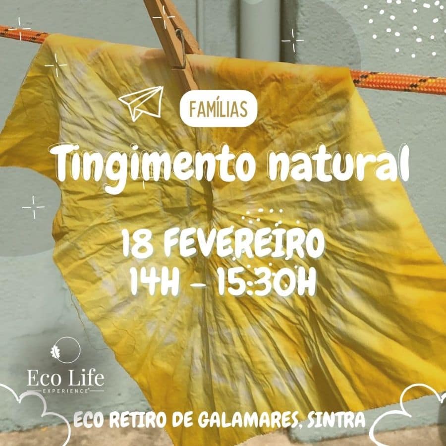 Atelier de Tingimento Natural