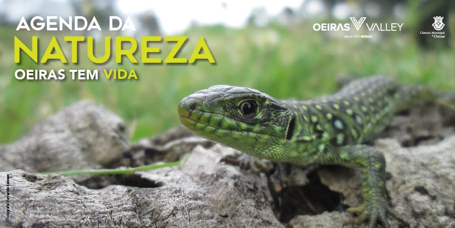 Agenda da Natureza – Abril 2025