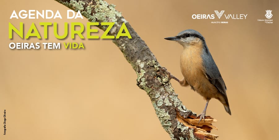 Agenda da Natureza – Novembro