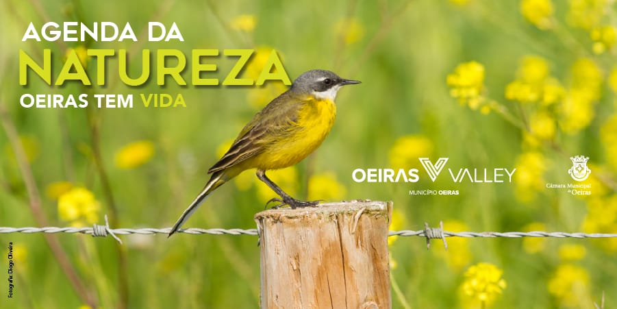 Agenda da Natureza – Outubro