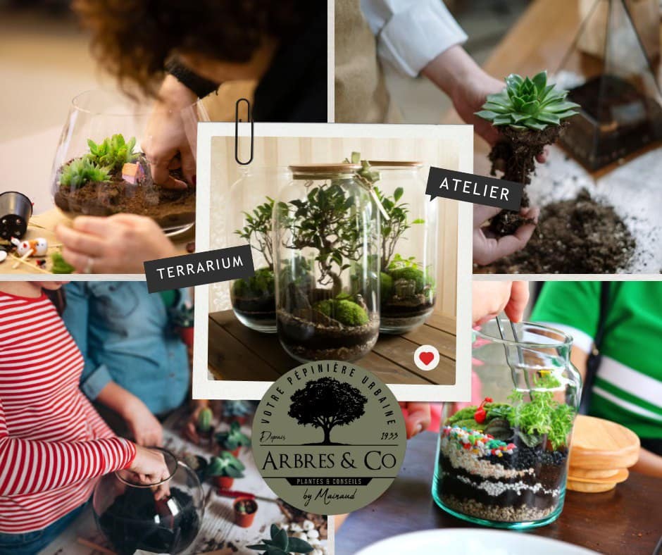 Atelier Terrarium