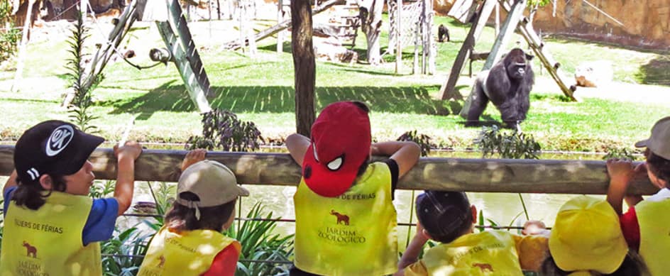 Ateliers de Férias do Zoo (dos 3 aos 5 anos)