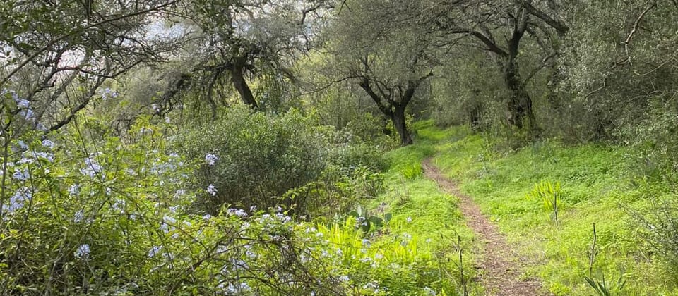 Pais e Filhos – Foto-Orientação