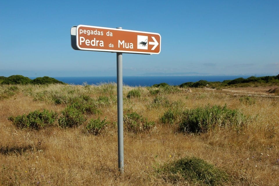 Pegadas de dinossauros da Pedra da Mua (Sesimbra)
