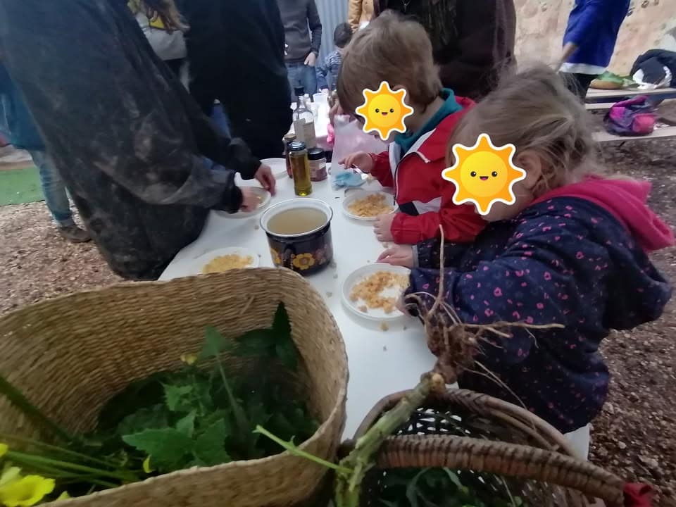 Plantas Silvestres ComestĂveis e fabrico de patĂŞs – Workshop FamĂlias