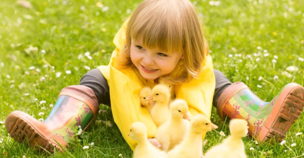 Alegro Setúbal – A Quinta Fun Park