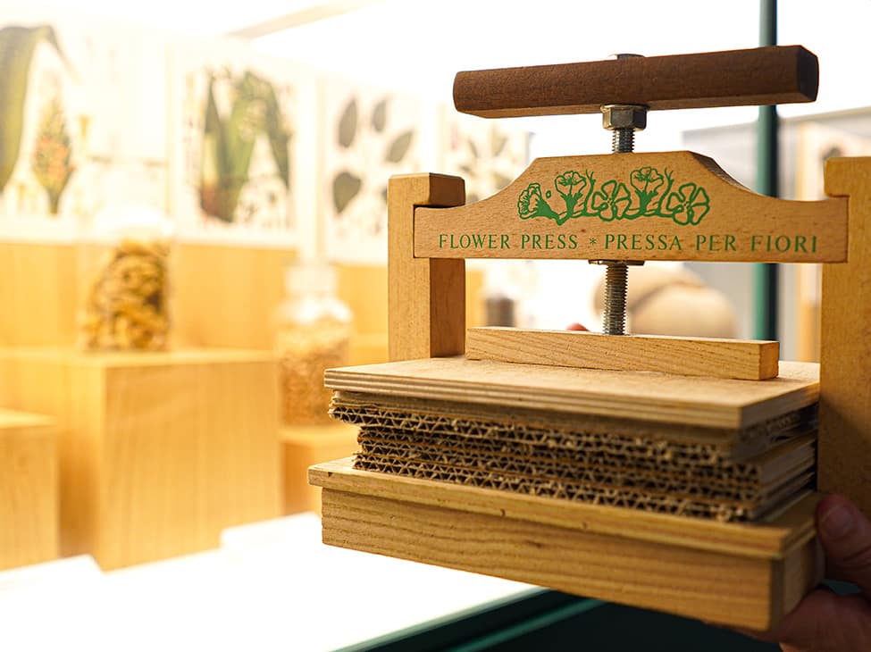 O meu primeiro herbário