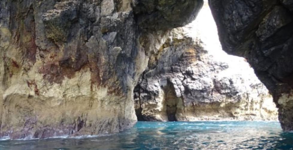 Passeio de barco às grutas e praias selvagens da Arrábida