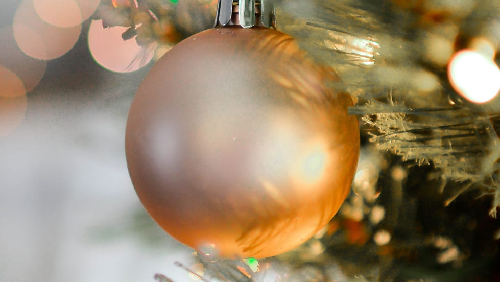 Festive Family Photo Shoot