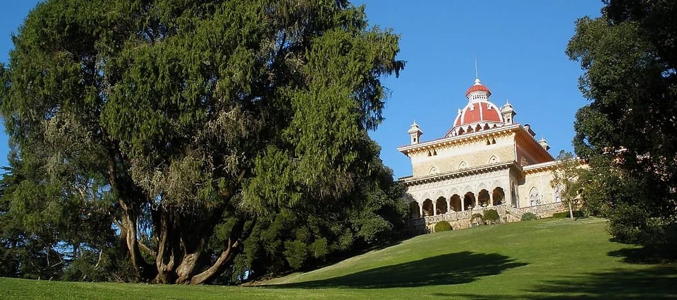 As Árvores Centenárias do Parque de Monserrate