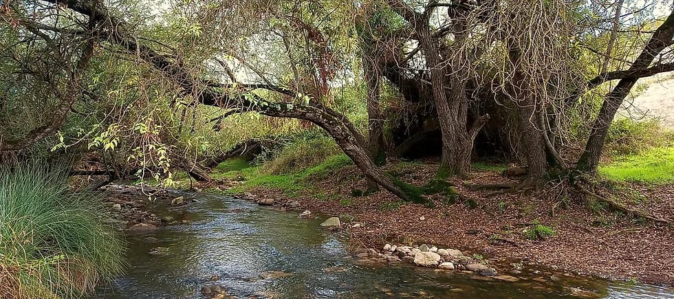 Passeio Sensorial pela Ribeira de Cabrela
