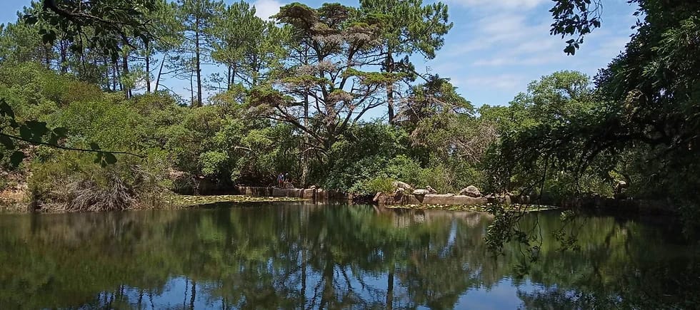 Passeio com Sabores na Tapada de Monserrate