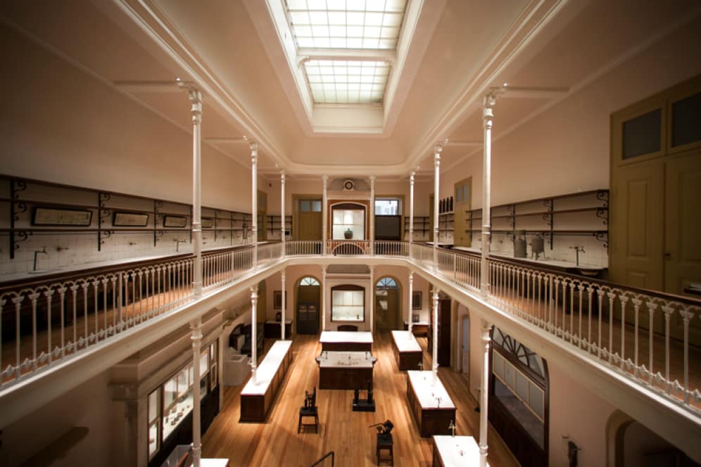 Dia Internacional dos Museus