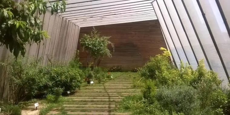 Lisboa Events - Cascais with kids - Borboletário